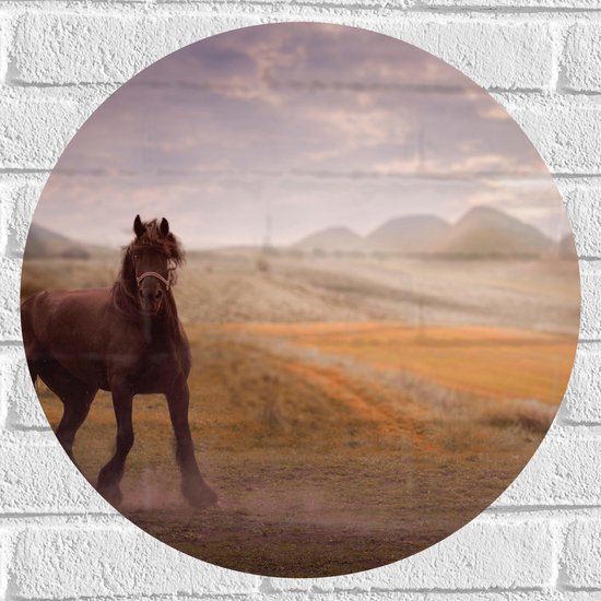WallClassics - Muursticker Cirkel - Zwart Paard in de Natuur - 50x50 cm Foto op Muursticker