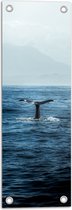 WallClassics - Tuinposter – Walvis Staart boven Zee - 20x60 cm Foto op Tuinposter  (wanddecoratie voor buiten en binnen)