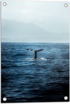 WallClassics - Tuinposter – Walvis Staart boven Zee - 40x60 cm Foto op Tuinposter  (wanddecoratie voor buiten en binnen)