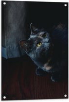WallClassics - Tuinposter – Zwarte Kat - 60x90 cm Foto op Tuinposter  (wanddecoratie voor buiten en binnen)