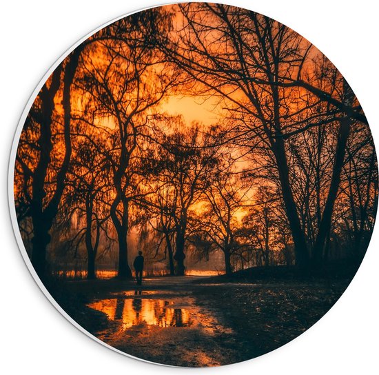 WallClassics - PVC Schuimplaat Muurcirkel - Silhouet van Bomen bij Oranje Zachte Lucht - 20x20 cm Foto op Muurcirkel (met ophangsysteem)