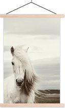 Posterhanger incl. Poster 40x60 cm - Schoolplaat - Paard - Strand - Manen - Textielposter - Blanke latten