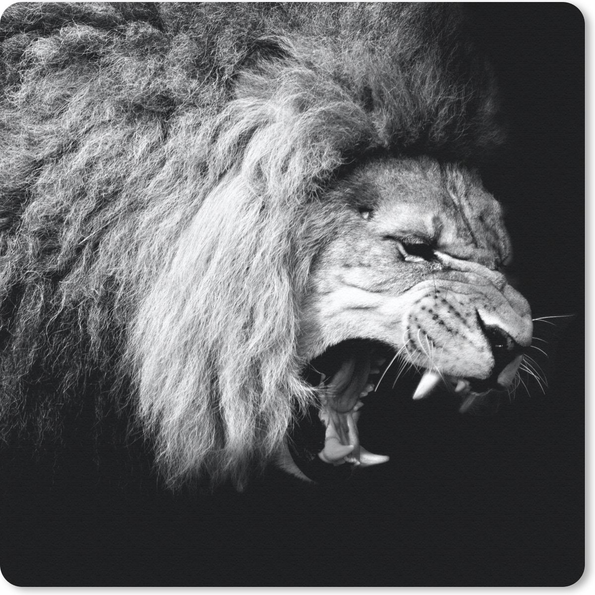 Muismat 30x30 cm - Mousepad Leeuw - Portret - zwart - Wit - Dieren - Muismatten