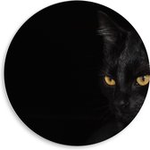 WallClassics - Plaque en Mousse PVC Cercle Mural - Chat Noir sur Fond Noir - 50x50 cm Photo sur Cercle Mural (avec système d'accrochage)