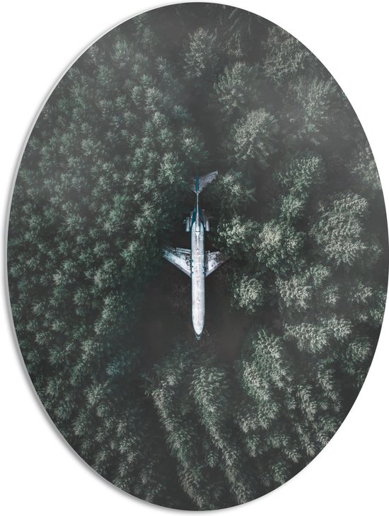 WallClassics - PVC Schuimplaat Ovaal - Neergestort Vliegtuig in Bos - 51x68 cm Foto op Ovaal  (Met Ophangsysteem)