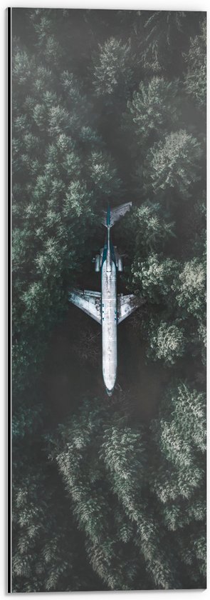 WallClassics - Dibond - Neergestort Vliegtuig in Bos - 20x60 cm Foto op Aluminium (Wanddecoratie van metaal)