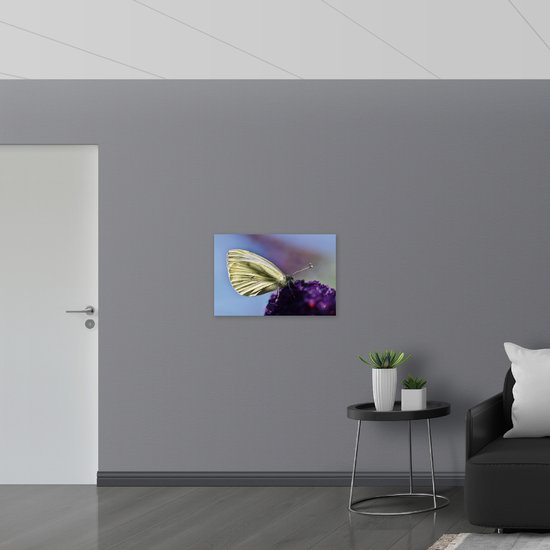 WallClassics - Drapeau - Papillon Witte sur Bloem Violette - 75x50 cm Photo sur Drapeau Polyester