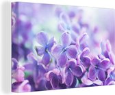 Gros plan d'un lilas violet 30x20 cm - petit - Tirage photo sur toile (Décoration murale salon / chambre) / Peintures Fleurs sur toile