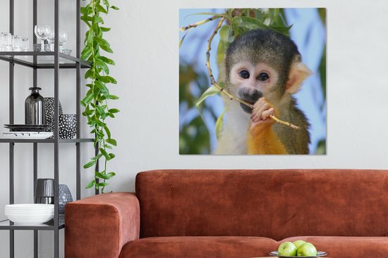 Singe écureuil mâchant une branche 90x90 cm - Tirage photo sur toile peinture (Décoration murale salon / chambre) / animaux sauvages Peintures sur toile