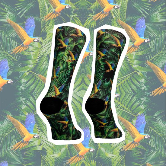 Sock My feet - Sock my macaw
