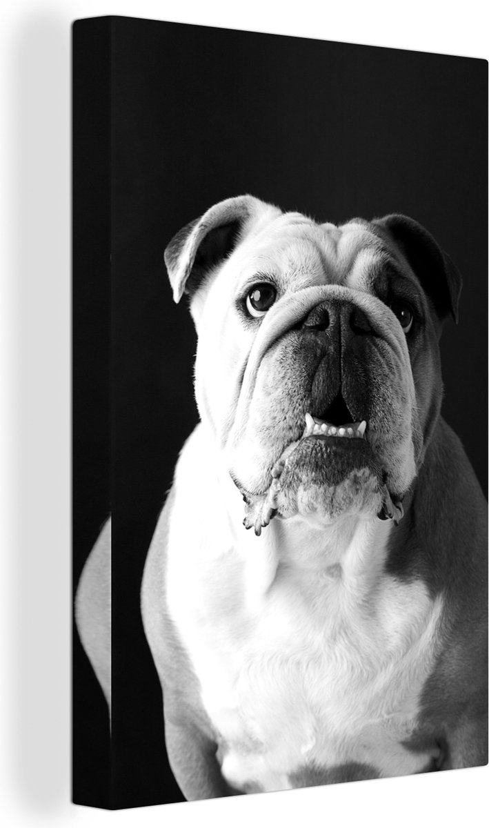 Tableau sur toile Portrait d un Bouledogue anglais noir et blanc