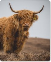 Muismat - Mousepad - Schotse Hooglander - Duin - Gras - 19x23 cm - Muismatten