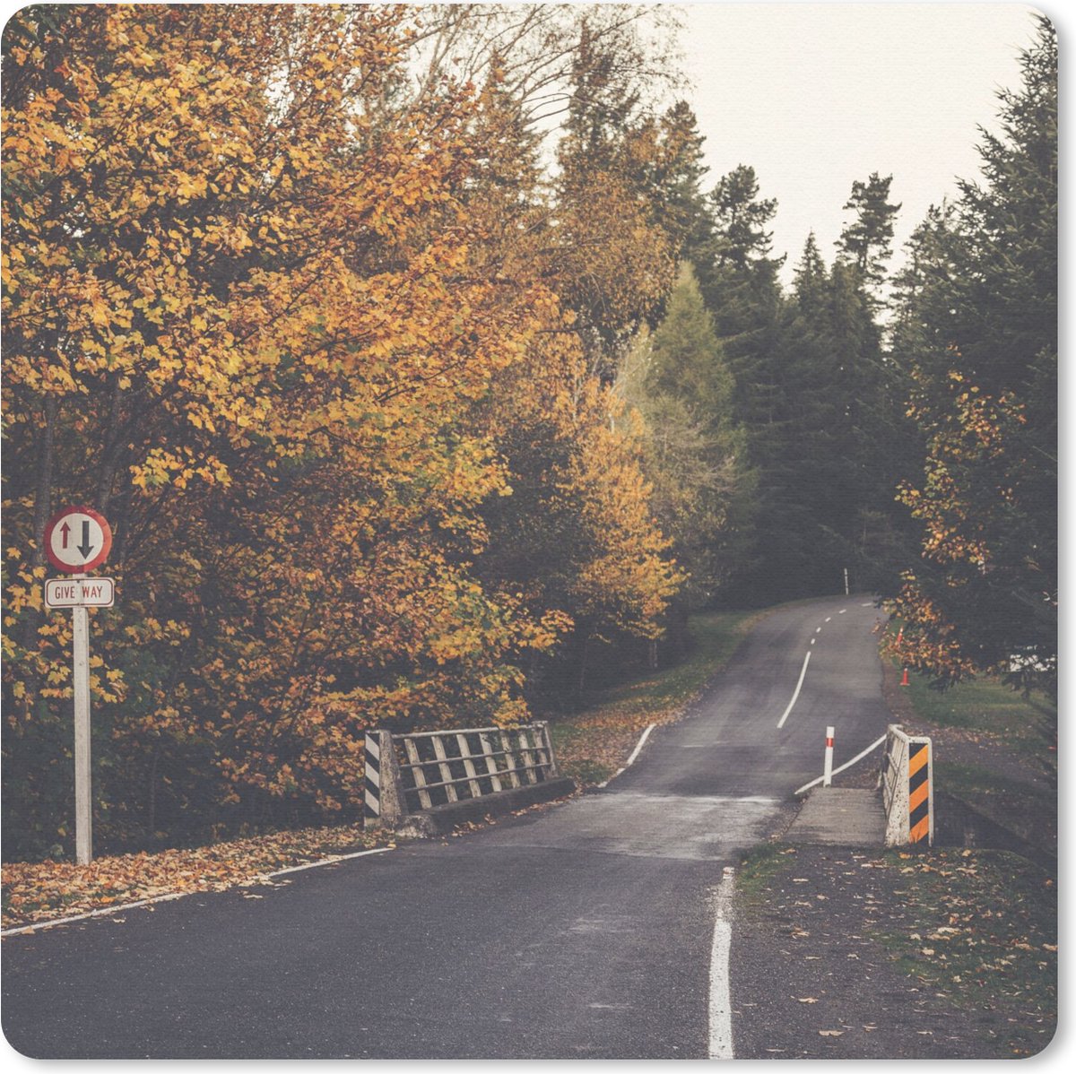 Muismat 20x20 cm - Mousepad Bomen - Weg - Herfst - Muismatten