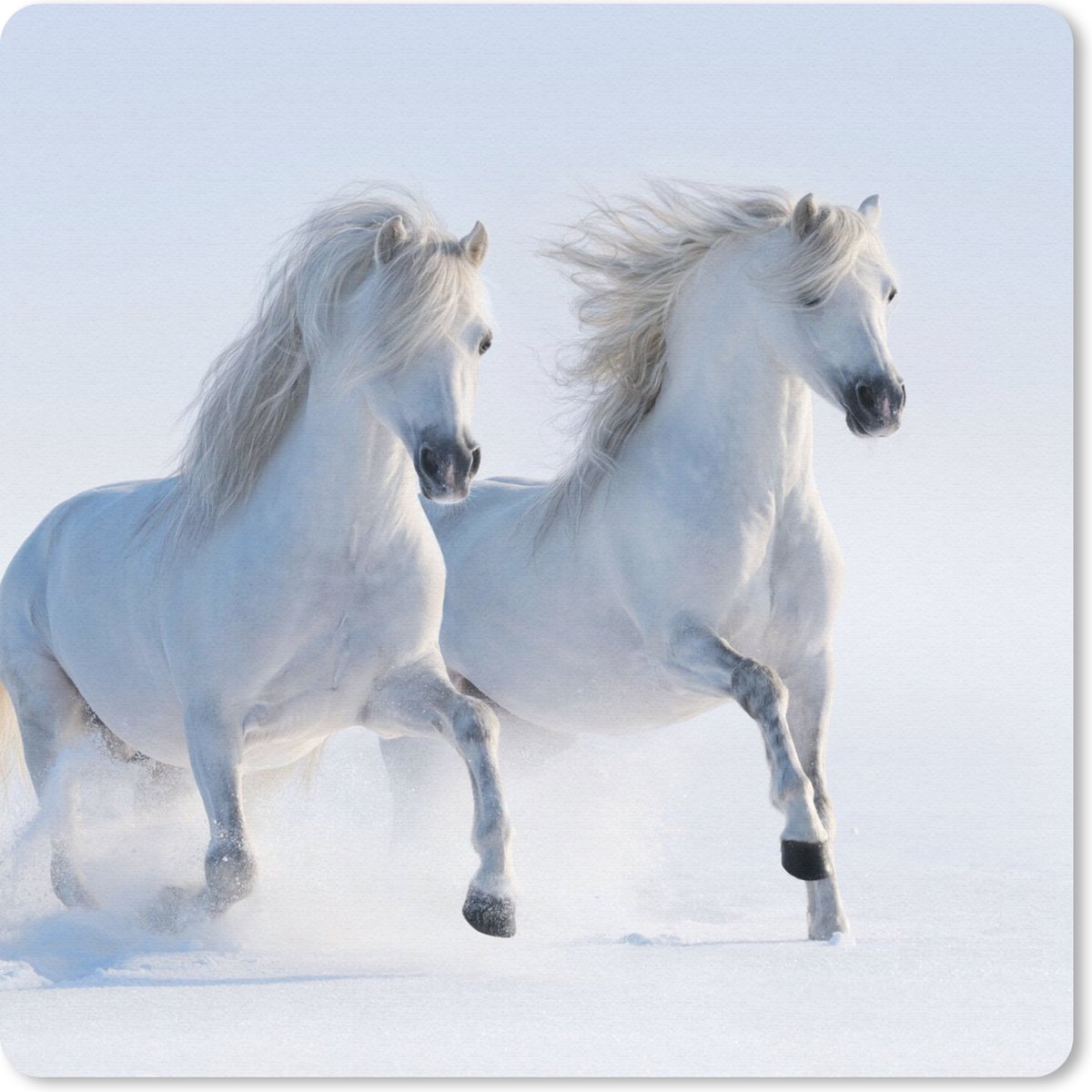 Muismat 30x30 cm - Mousepad Winter - Paarden - Sneeuw - Muismatten