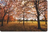 Muismat - Mousepad - Herfst - Herfstbladeren - Natuur - 27x18 cm - Muismatten
