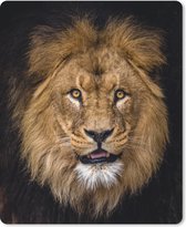 Bol.com Muismat Leeuwen - Portret van een leeuw met een ronde kop tegen een donkere achtergrond muismat rubber - 19x23 cm - Muis... aanbieding