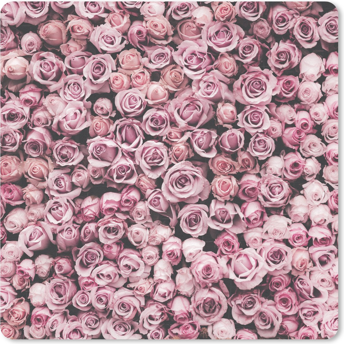 Muismat 30x30 cm - Mousepad Bloemen - Rozen - Natuur - Roze - Botanisch - Muismatten