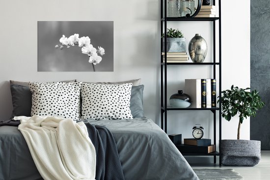 Affiche Orchidée - Fleurs - Plante - Wit - Violet - 60x40 cm