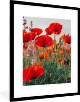 Fotolijst incl. Poster - Klaproos - Bloemen - Rood - Paars - Weide - 60x80 cm - Posterlijst