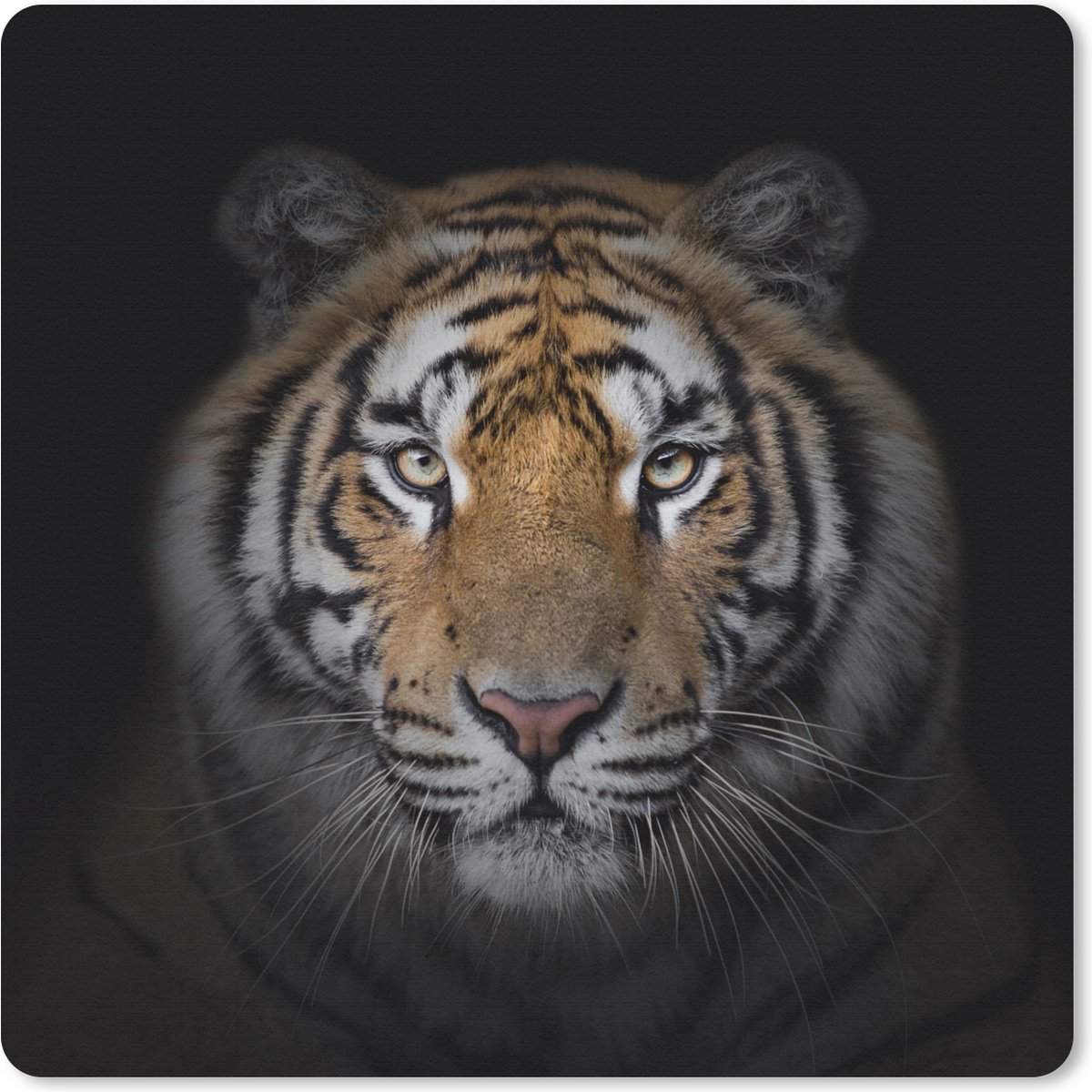 Muismat 30x30 cm - Mousepad Tijger - Wilde dieren - Portret - Zwart - Dieren - Muismatten