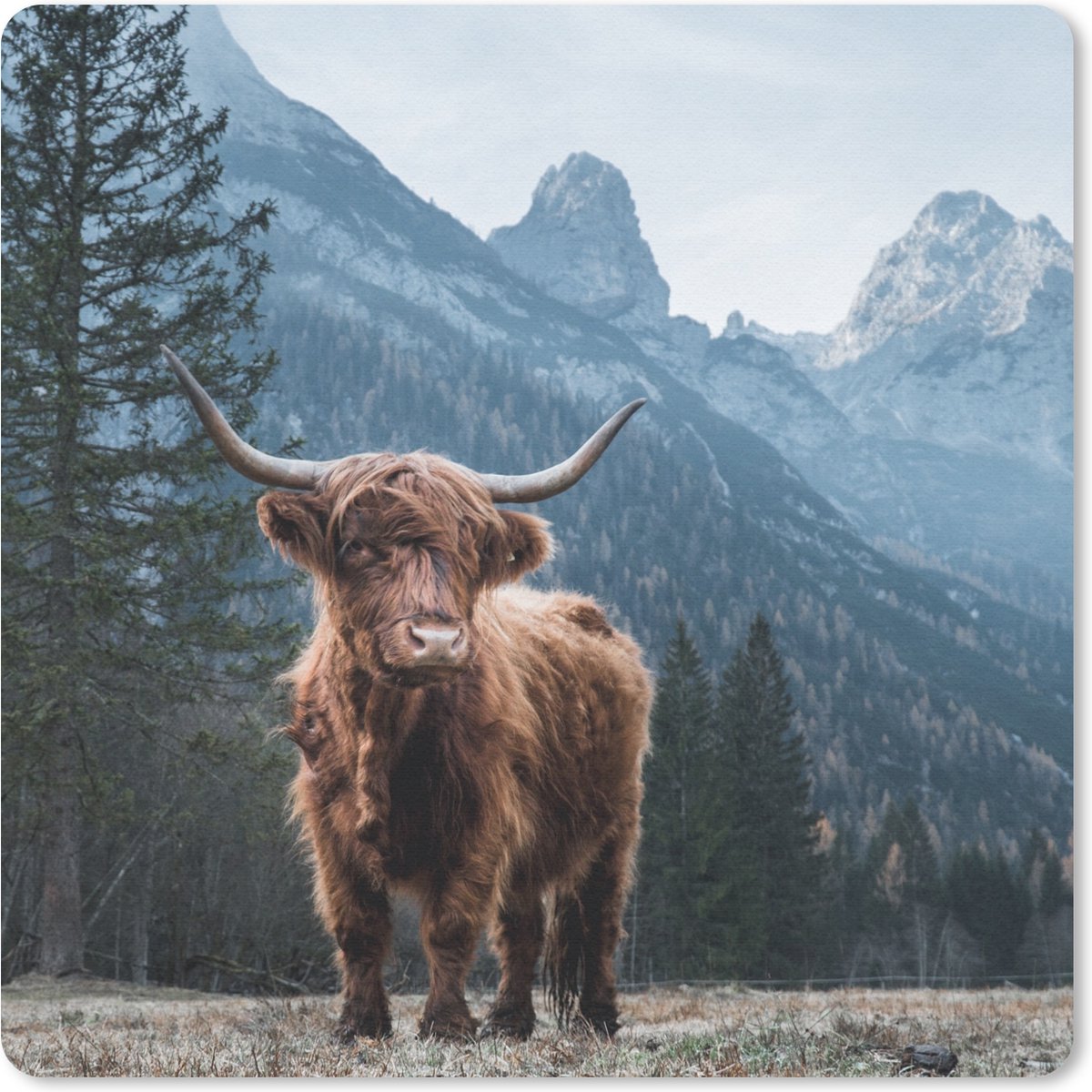 Muismat 30x30 cm - Mousepad Schotse hooglander - Berg - Landschap - Bomen - Koe - Natuur - Muismatten