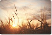 Muismat - Mousepad - Riet - Gras - Zonsondergang - Natuur - Horizon - 27x18 cm - Muismatten