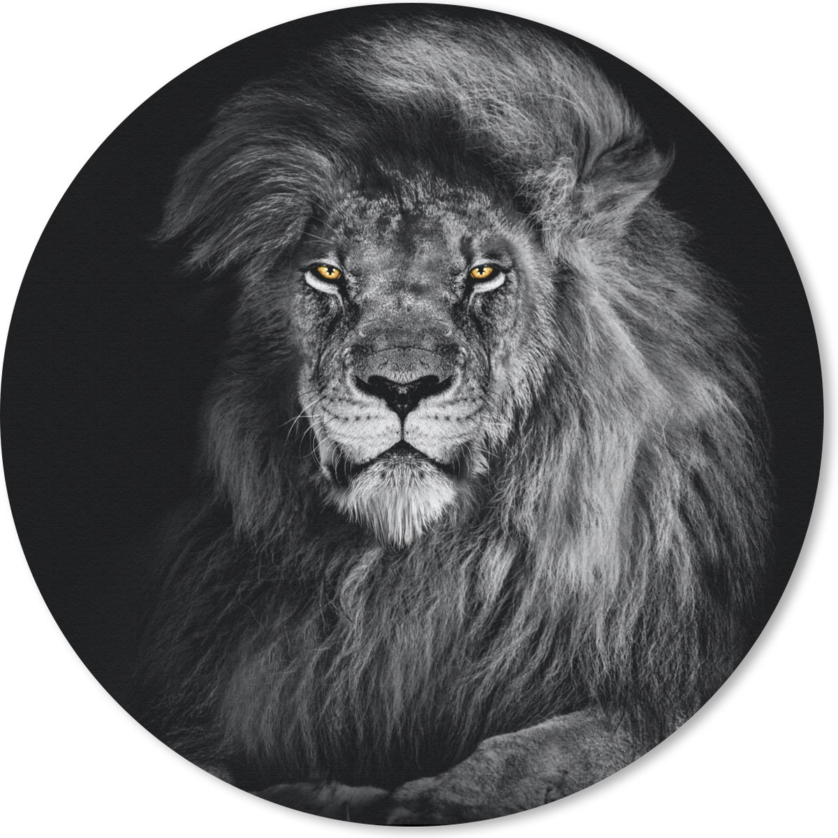Muismat rond 20x20 cm - Mousepad Leeuw - Ogen - Oranje - Zwart wit - Dieren - Portret - Ronde muismatten
