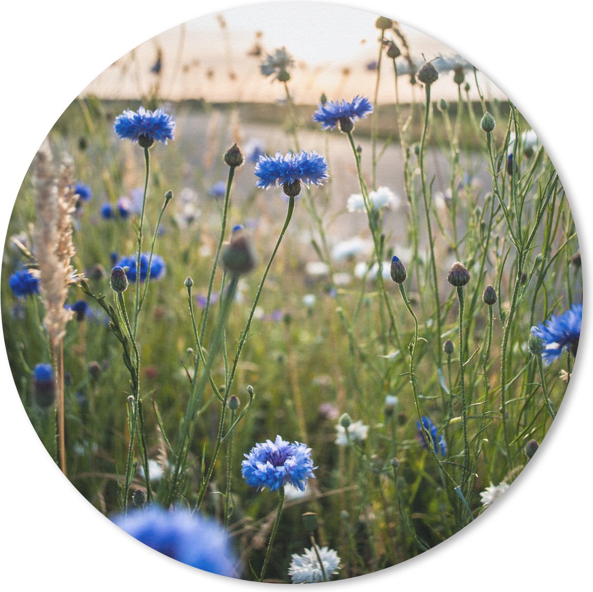 Muismat rond 30x30 cm - Mousepad Bloemen - Zomer - Korenbloem - Blauw - Zon - Wolken - Ronde muismatten