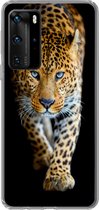 Geschikt voor Huawei P40 Pro hoesje - Luipaard - Dieren - Portret - Wilde dieren - Zwart - Siliconen Telefoonhoesje