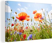 Canvas Schilderij Bloemen - Klaproos - Lente - Natuur - Rood - Blauw - 90x60 cm - Wanddecoratie