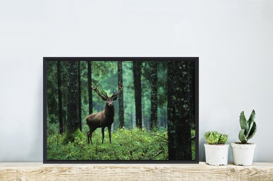Cadre photo avec affiche - Cerf - Forêt - Arbres - Animaux - Nature - 60x40 cm - Cadre pour affiche