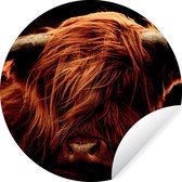 Behangcirkel - Behangcirkel zelfklevend - Schotse hooglander - Close up - Dierenkop - Zwart - Koe - Zelfklevend behang - 30x30 cm - Behangsticker - Ronde wanddecoratie - Cirkel behang