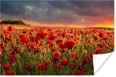 Poster Zonsondergang - Klaprozen - Rood - Bloemen - Veld - Natuur - 90x60 cm