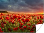 Poster Zonsondergang - Klaprozen - Rood - Bloemen - Veld - Natuur - 120x90 cm