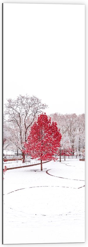 WallClassics - Dibond - Rode Boom in Witte Sneeuw - 40x120 cm Foto op Aluminium (Wanddecoratie van metaal)
