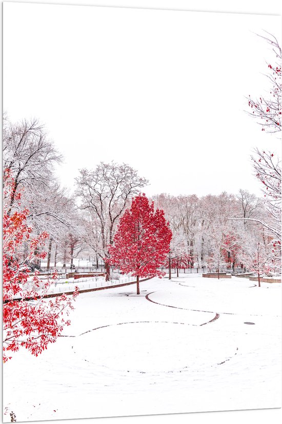 WallClassics - Acrylglas - Rode Boom in Witte Sneeuw - 100x150 cm Foto op Acrylglas (Wanddecoratie op Acrylaat)