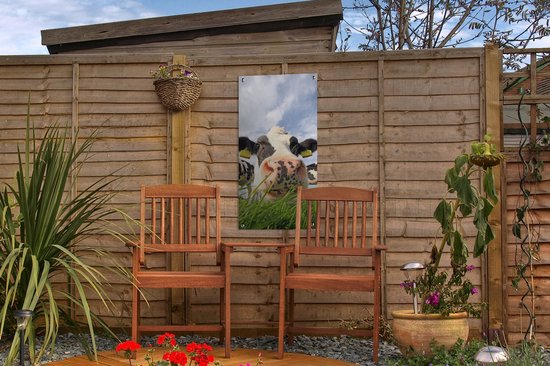 Poster de jardin Vache - Ferme - Herbe - Animaux - 30x60 cm - Toile jardin - Poster extérieur