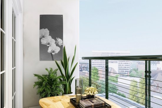 Poster de jardin Orchidée - Fleurs - Plante - Wit - Violet - 30x60 cm - Toile jardin - Poster extérieur