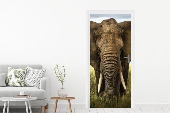 Sticker pour porte Éléphant - Nature - Herbe - Animaux - Paysage - 75x205 cm - Affiche de porte