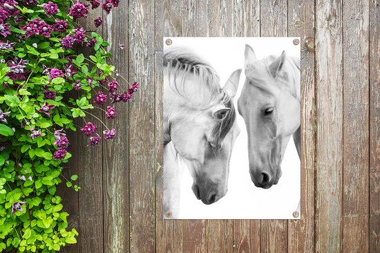 Tableau jardin Cheval - Animaux - Portrait - Wit - 60x80 cm - Affiche jardin - Toile jardin - Affiche extérieur
