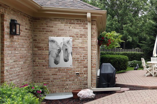 Tableau jardin Cheval - Animaux - Portrait - Wit - 60x80 cm - Affiche jardin - Toile jardin - Affiche extérieur