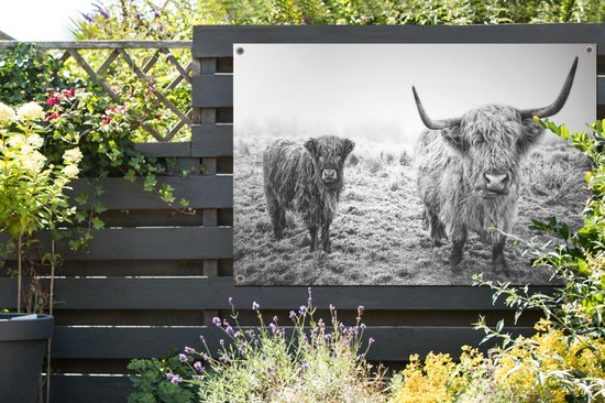 Affiche de jardin - Toile de jardin - Posters de jardin extérieur - Highlanders écossais - Lumière - Air - Nature - 120x80 cm - Jardin