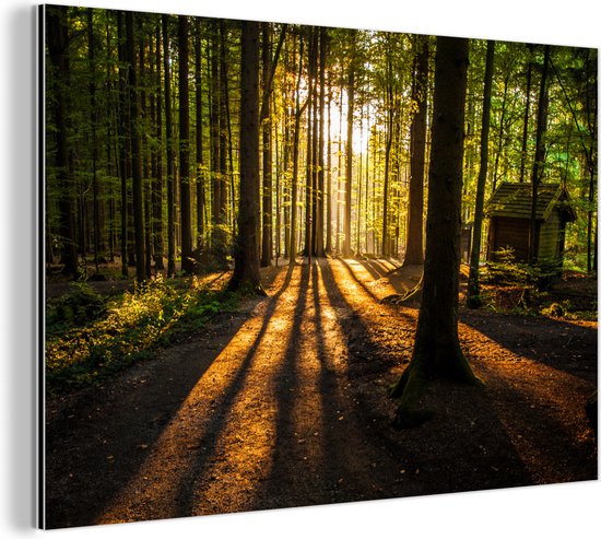 Wanddecoratie Metaal - Aluminium Schilderij Industrieel - Zon - Bomen - Bos - Landschap - Natuur - 90x60 cm - Dibond - Foto op aluminium - Industriële muurdecoratie - Voor de woonkamer/slaapkamer