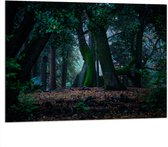 WallClassics - Dibond - Grote Kromme Bomen in het Bos - 100x75 cm Foto op Aluminium (Met Ophangsysteem)