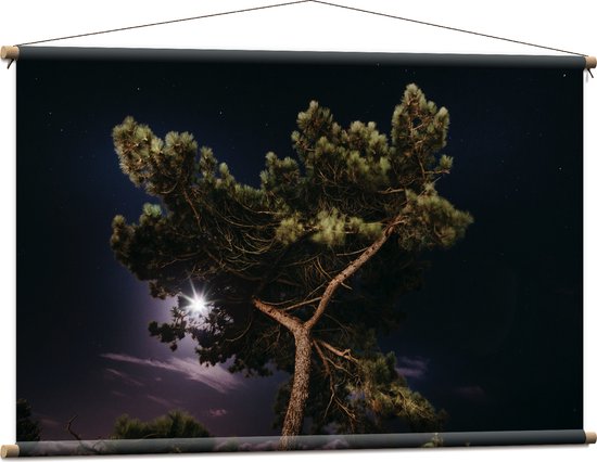 WallClassics - Affiche Textile - Cime d'Arbre dans Ciel Violet - 120x80 cm Photo sur Textile