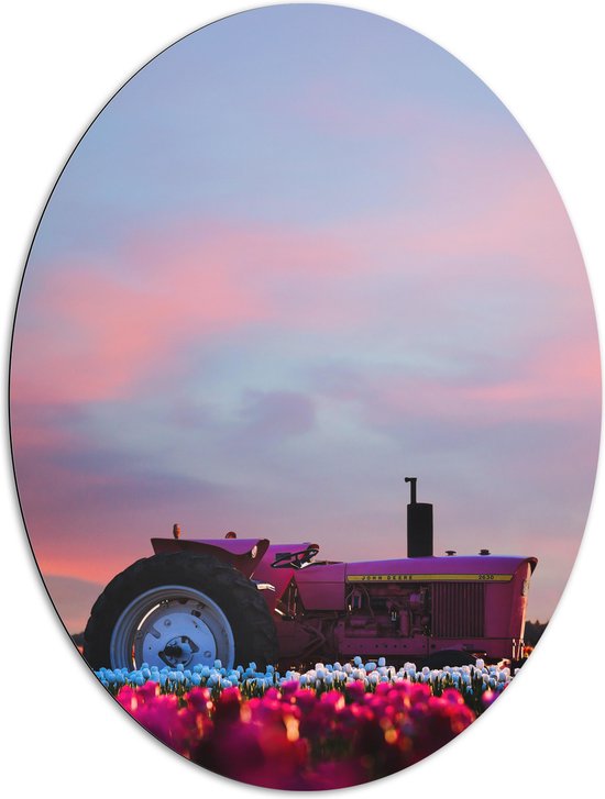 WallClassics - Dibond Ovaal - Roze Traktor in Felkleurend Bloemenveld - 81x108 cm Foto op Ovaal (Met Ophangsysteem)