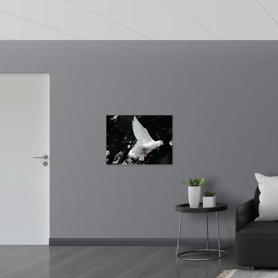 WallClassics - Poster (mat) – Duif Witte volante – 80 x 60 cm Photo sur papier poster avec un aspect mat
