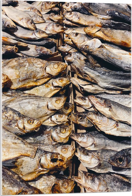 WallClassics - Acrylglas - Verse Vissen op een Vismarkt - 60x90 cm Foto op Acrylglas (Met Ophangsysteem)