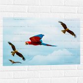 WallClassics - Muursticker - Vliegende Vogels Ara Papegaaien - 75x50 cm Foto op Muursticker