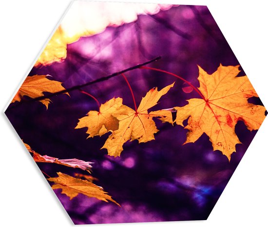 WallClassics - PVC Schuimplaat Hexagon  - Oranje Herfstbladeren met Paarse Achtergrond - 50x43.5 cm Foto op Hexagon (Met Ophangsysteem)